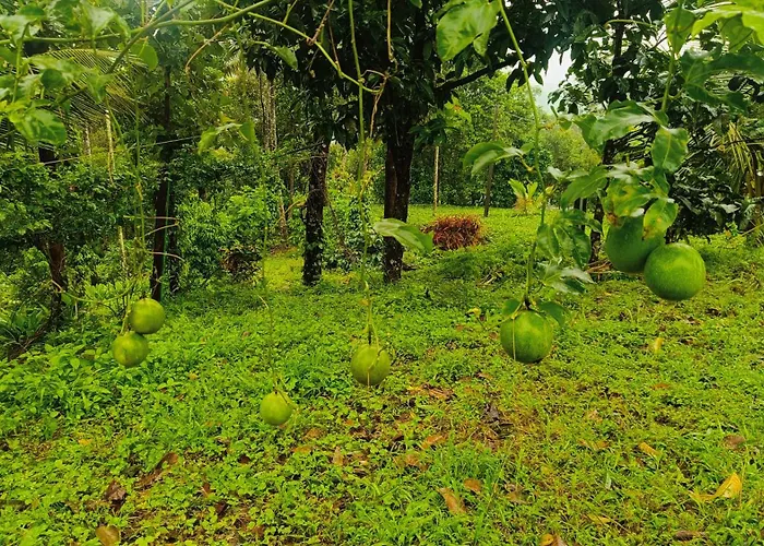 Verdant Vagamon Cottage